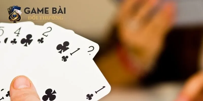 Đôi nét giới thiệu khái quát nhất về game bài tiến lên miền Bắc